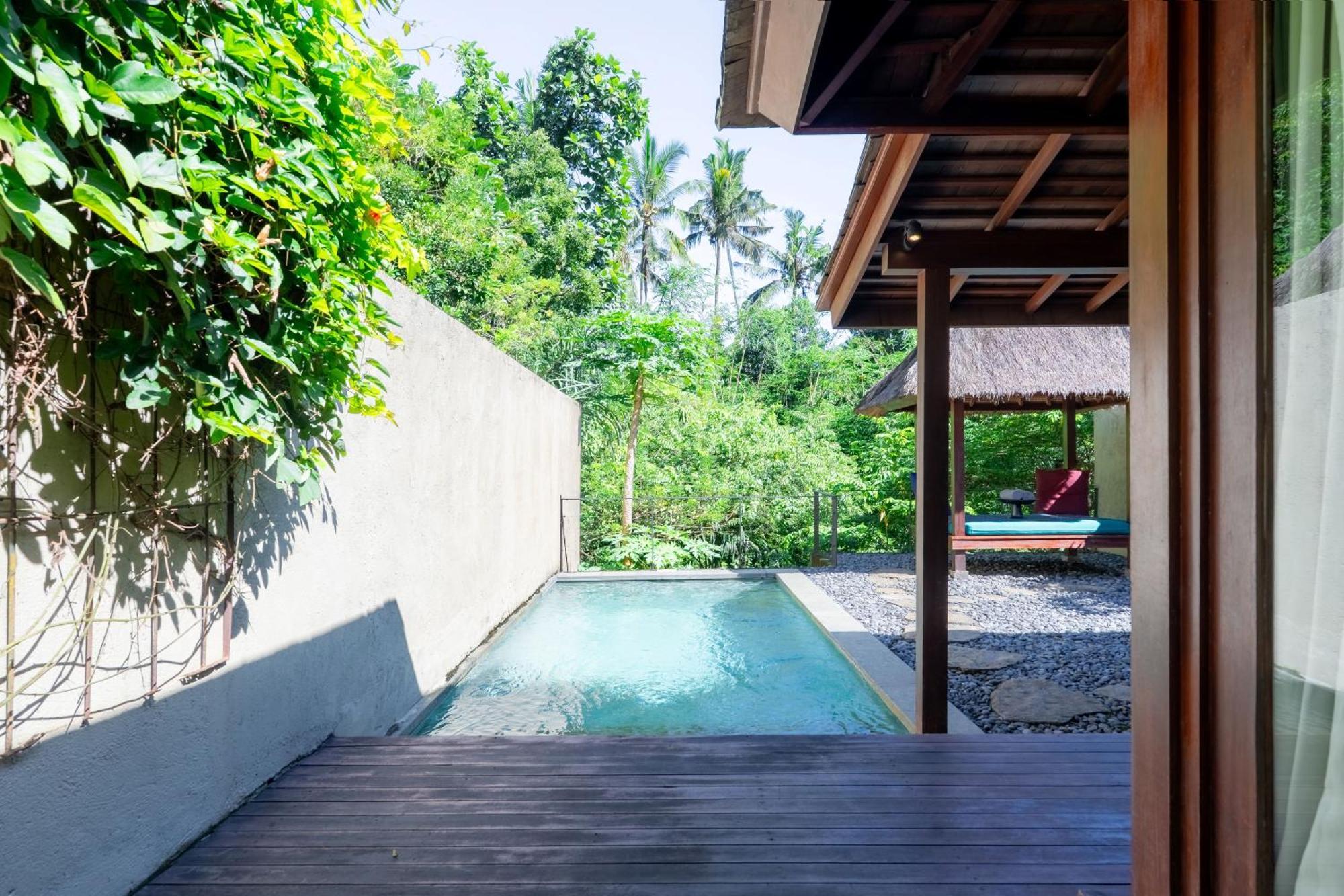 One-Bedroom Jungle View Pool Villa Two Bottle Beer One Time Minibar