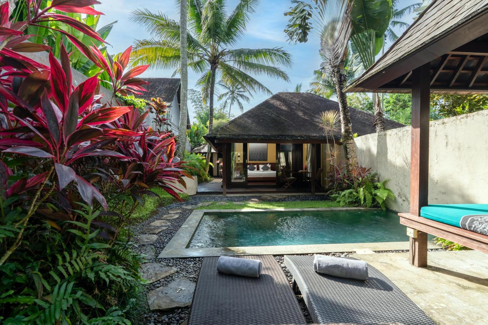 One-Bedroom Jungle View Pool Villa Two Bottle Beer One Time Minibar