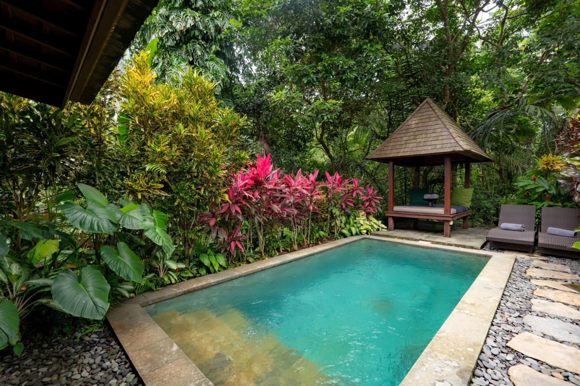 One-Bedroom Jungle View Pool Villa Two Bottle Beer One Time Minibar